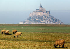 Le réveil  du Mont ....