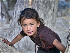 Regard ladakhi