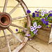 flowers n wheel