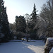 Fulbourn garden 2012-02-10