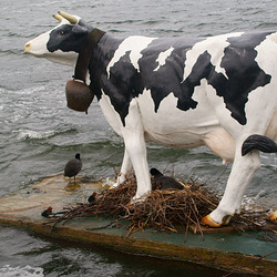 Familie Blessralle 1 von 14