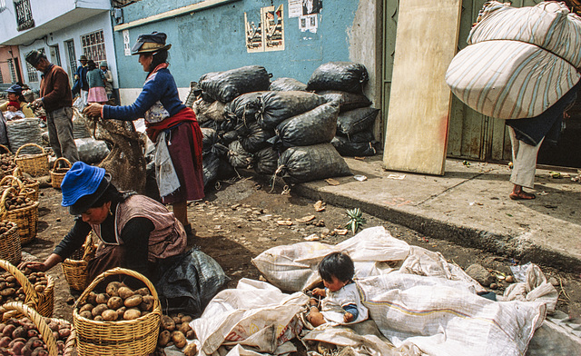 Otavalo, Ecuador, 1982 AWP 1257