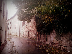 photo 1-le Village Sourd 10.2013