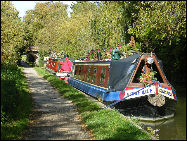 Kerry Blue on the Oxford Canal