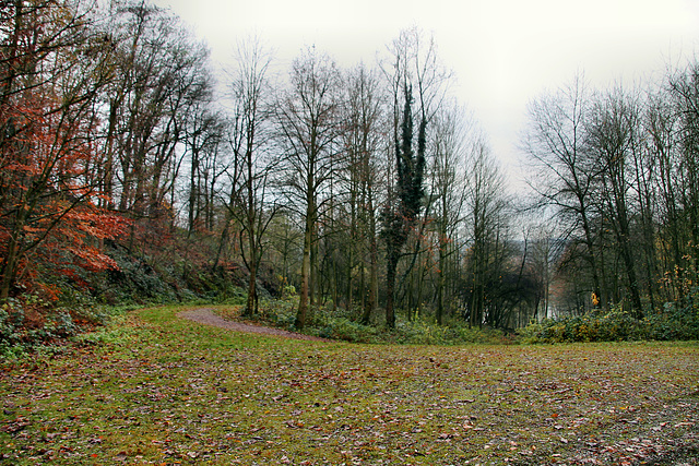 Ehemaliges Zechengelände Carl Funke 1/2 (Essen-Heisingen) / 1.12.2019