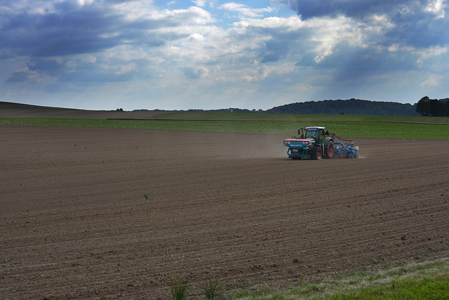 Max.is sowing quickly before the rain