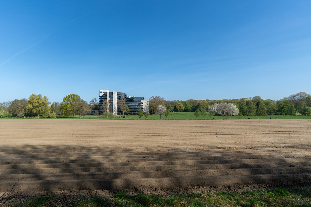 Köln - Fahrt mit dem historischen Schienenbus