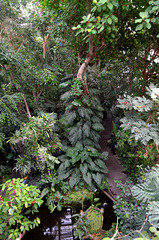 Grandes serres du Jardin des Plantes