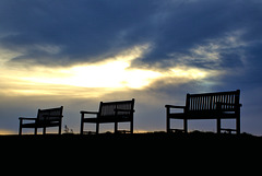 Cliff Top at Tynemouth