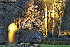 Catching The Light. Wallsend Cemetery