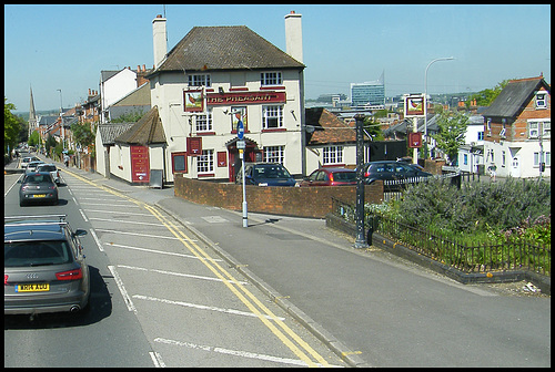 The Pheasant at Reading