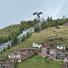 Peru, Puno, Condor House