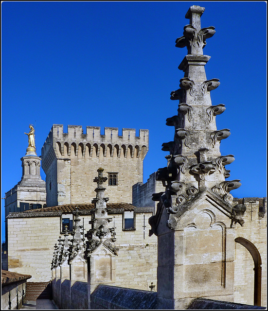 Avignon : Un passaggio sui tetti del palazzo dei Papi