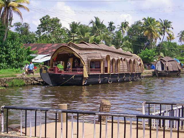 Der Zaun in Kerala