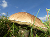 P1310433