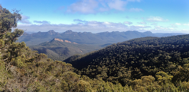 view from Mt William