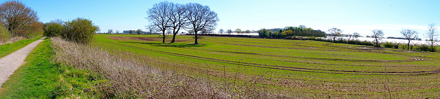 National Cycle track No.55