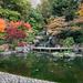 Kyoto Garden, Holland Park