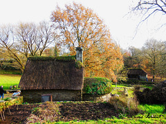 vieille chaumière et son four à pain