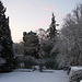 Fulbourn garden 2012-02-10