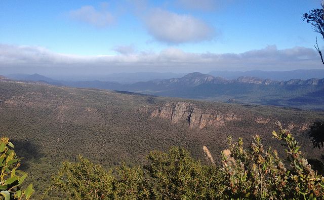 view from Mt William