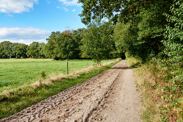 -feldweg-01651-co-08-10-16