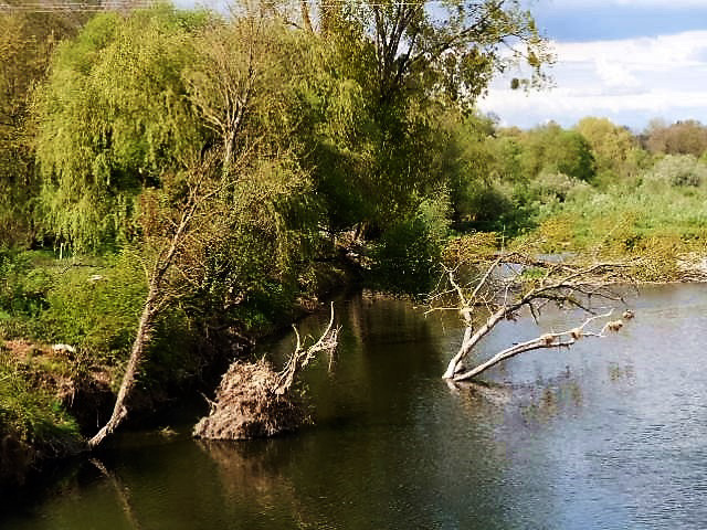 Au bord de la Moselle