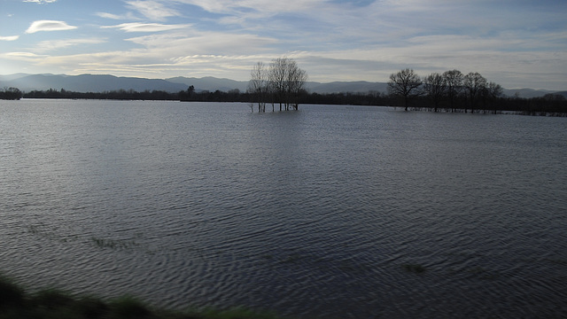 caprice de la Saône montante CIMG6666