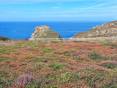 Finistère