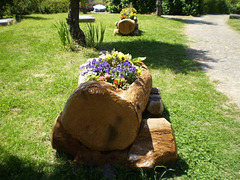 Wooden flowerbeds.