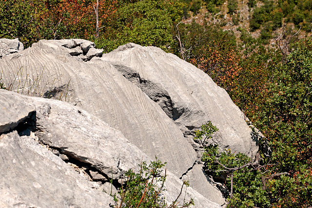 Nationalpark Paklenica - Abstieg von Manita Pec (8)