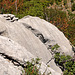 Nationalpark Paklenica - Abstieg von Manita Pec (8)