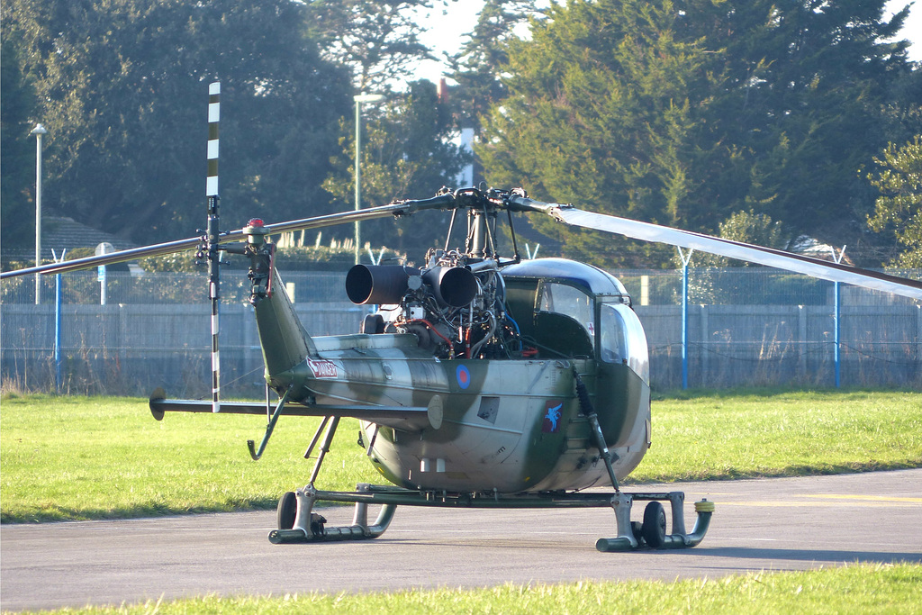 Westland Scout XV137 at Solent Airport (2) - 4 January 2019