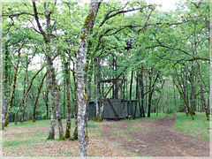 Palombière dans les bois près de Lalinde (24)