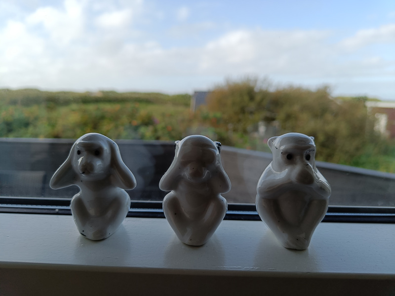 3 monkeys