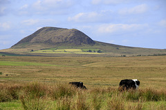 Slemish