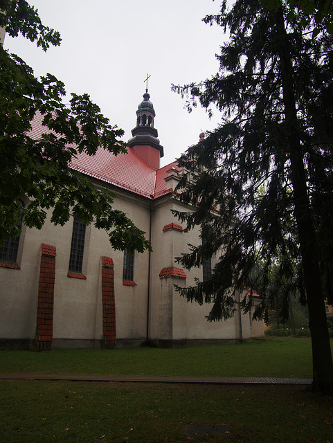 Białowieża church