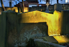 Catching The Light. Wallsend Cemetery