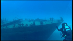 14a-P31 wreck, bow and along side