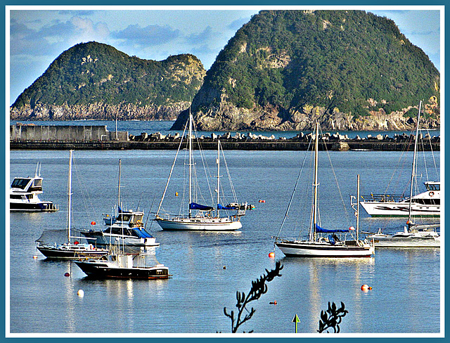 Early Morning In the Harbour.