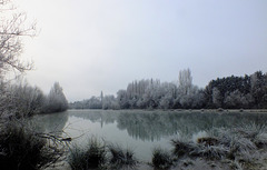 L'hivers sur l'étang