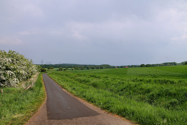 Radweg am Schattbach (Bochum-Laer) / 7.05.2022