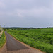 Radweg am Schattbach (Bochum-Laer) / 7.05.2022