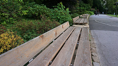 Lange Bänke im Rombergpark