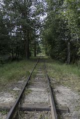 Geleis der ehemaligen Werkbahn Kateřina ... P.i.P. (© Buelipix)