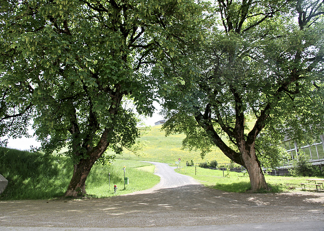 Spazierweg am Kloster