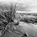 Rotterdam Maasvlakte