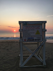 IMG 4885