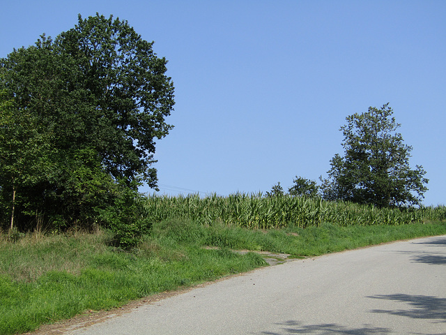 Auf dem Weg zum Eichelberg