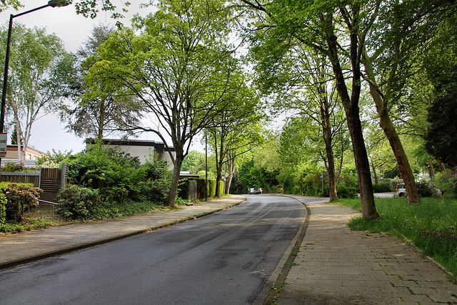 Schattbachstraße (Bochum-Querenburg) / 7.05.2022